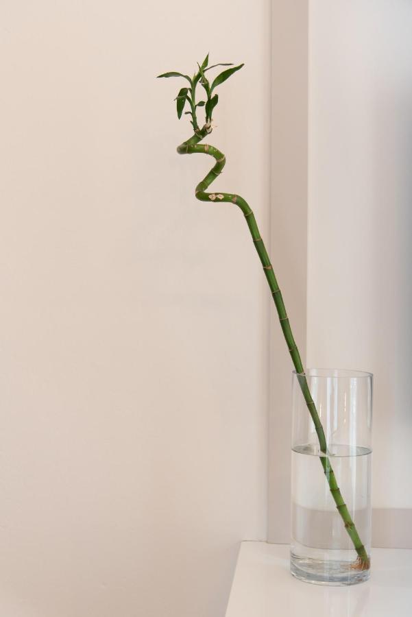 Medluxe Luxury Apartment ! Athen Eksteriør billede